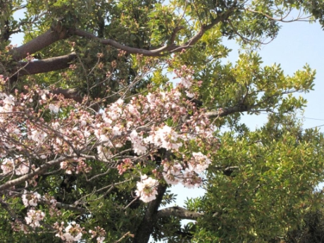 画像10